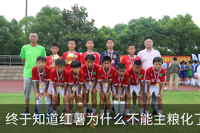终于知道红薯为什么不能主粮化了，网友道出真相引万人共鸣！