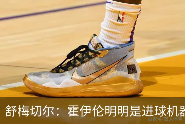 舒梅切尔：霍伊伦明明是进球机器，维韦尔来了偏要换成谢什科