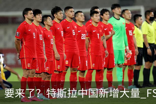 要来了？特斯拉中国新增大量 FSD 功能和图标